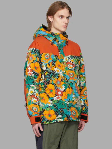 Gucci Multicolor The North Face Edition Down Jacket