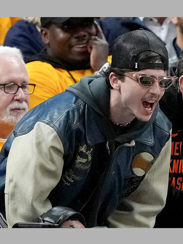 Vintage Avirex Varsity Leather Jacket Timothee Chalamet
