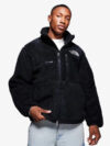 the north face denali jacket black