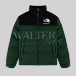 ALDxTheNorthFaceCasentinoNuptseJacketGreen