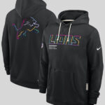 Detroit Lions 2025 Crucial Catch Hoodie Sweatshirt