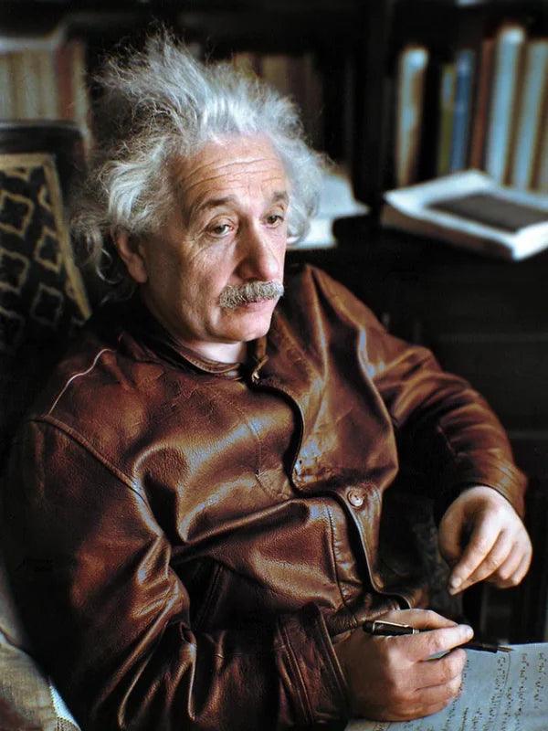Levi s Albert Einstein Brown Menro Comic Leather Jacket