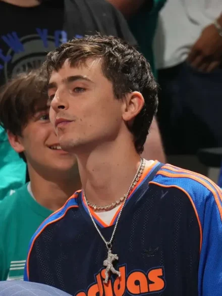 Timothée Chalamet Adidas T-shirt