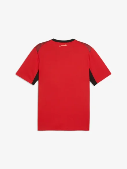 egypt world cup jersey