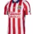 Nike Chivas 2026-27 Home Authentic Jersey