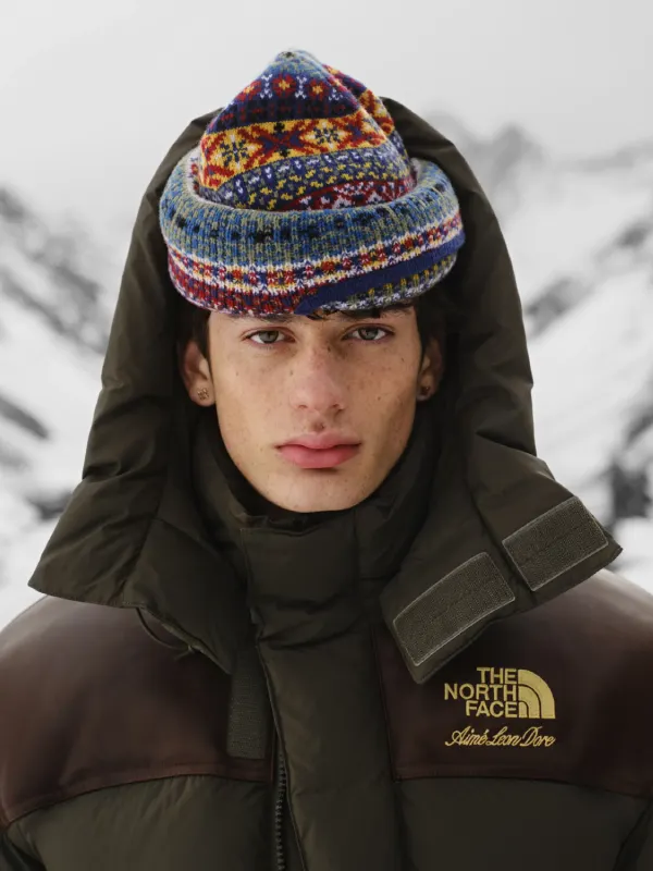 The North Face ALD Baltoro Jacket